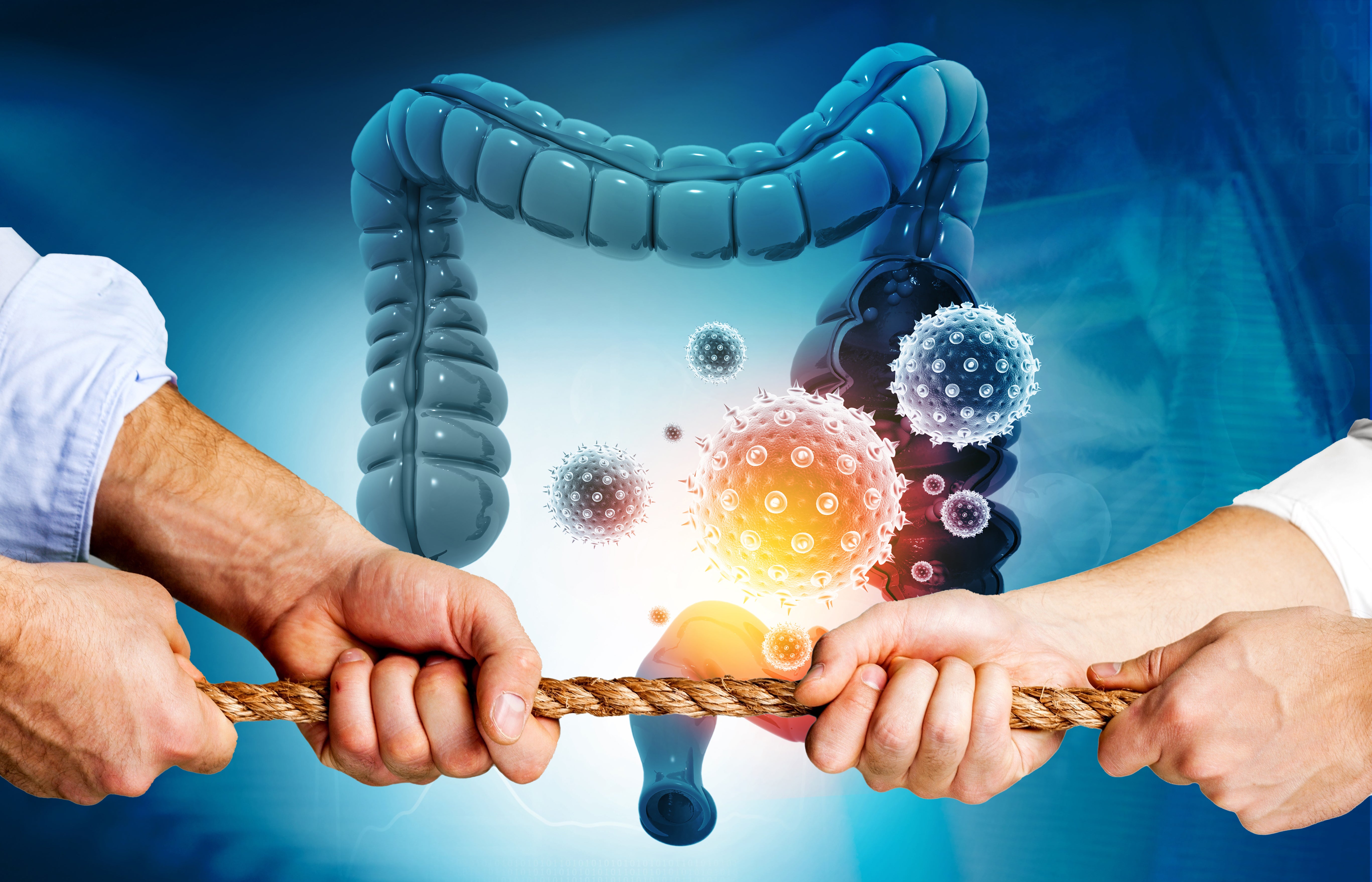 Image of large intestine with a battle for dominance occuring in front