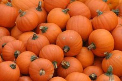 Pumpkins: A Great Source of Fiber for Fall